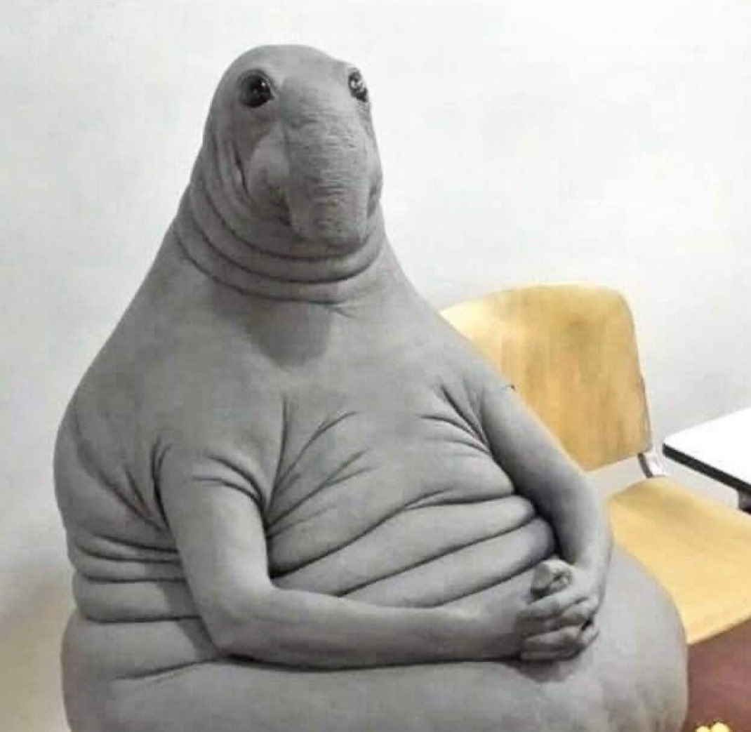 LSK Leguanerna tweet media