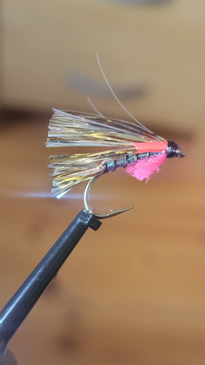 mccoy007_coy's tweet photo. #pinfry #sparkler #frybasher #irishtroutflies #wildbrowntrout #cpr #rainbowtrout #fishcandy 🐋☘️💚🎣 https://t.co/pni8qZCsBz