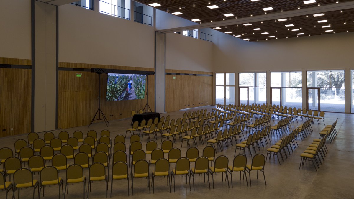 Gustavo Sáenz tweet media