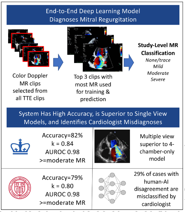 VDelgadoGarcia's tweet photo. Troubles identifying severe mitral regurgitation? 👉Deep Learning for Echo Analysis, Tracking, and Evaluation of Mitral Regurgitation (DELINEATE-MR) | @CircAHA  https://t.co/EkUbod0LRF @EACVIPresident @ASE @MAecocardio @Doc_Niro @DocStrom @HeartDocSharon @SwissHeartDoc @Doc_Tiger https://t.co/vqtf4yQhd4