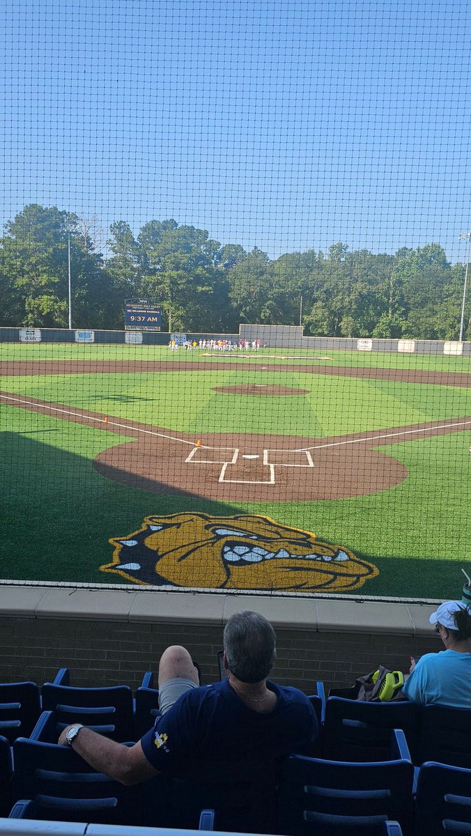 MS Rays Baseball tweet media