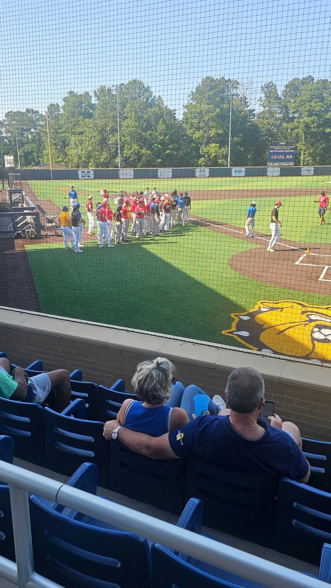 MS Rays Baseball tweet media