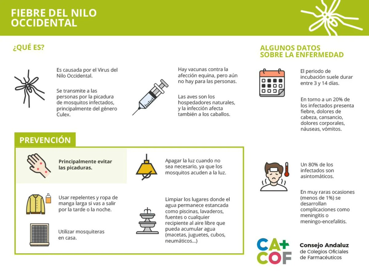 COF Cádiz tweet media