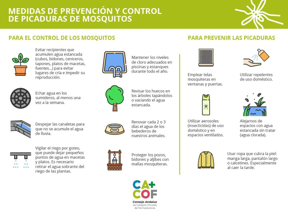 COF Cádiz tweet media
