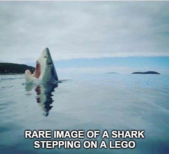SpillTheMemes's tweet photo. - https://t.co/O6NCZ775Pe