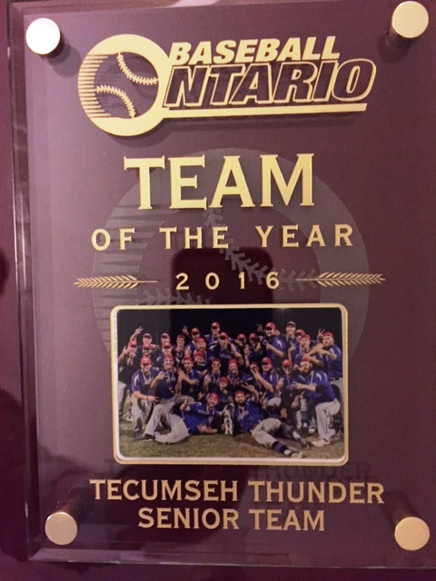 Tecumseh Baseball Club Archives tweet media