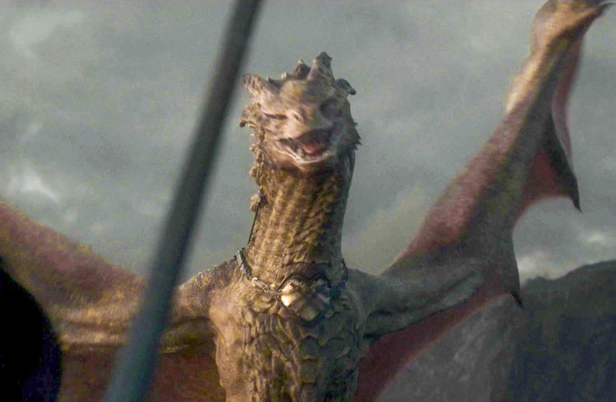 Mayham_H's tweet photo. "Queen Rhaenyra had Syrax, a huge and formidable beast"

Meanwhile Syrax: https://t.co/pM3vK2xdOf