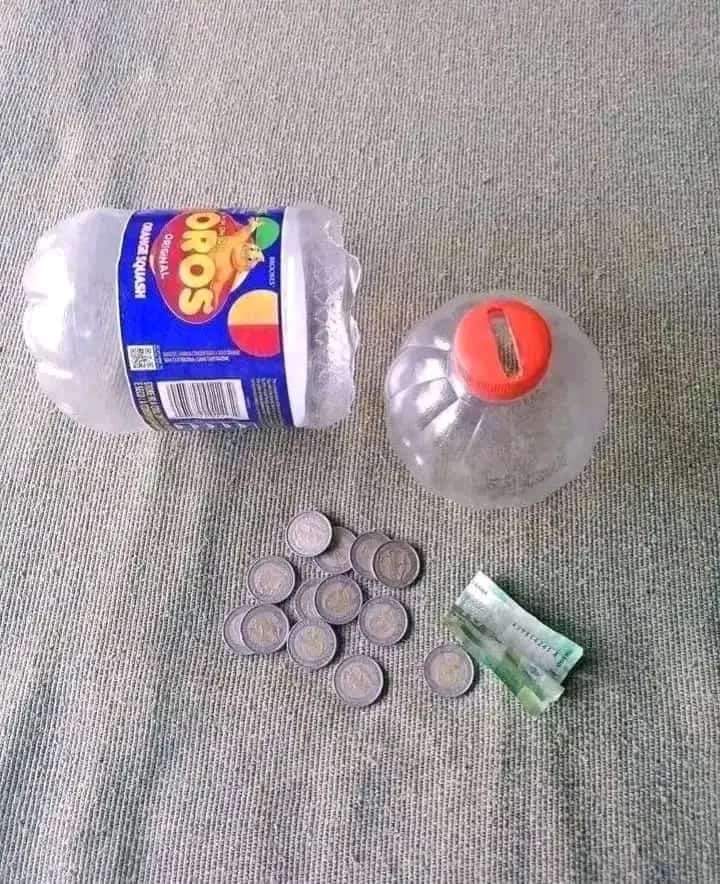 Pro Philani tweet media