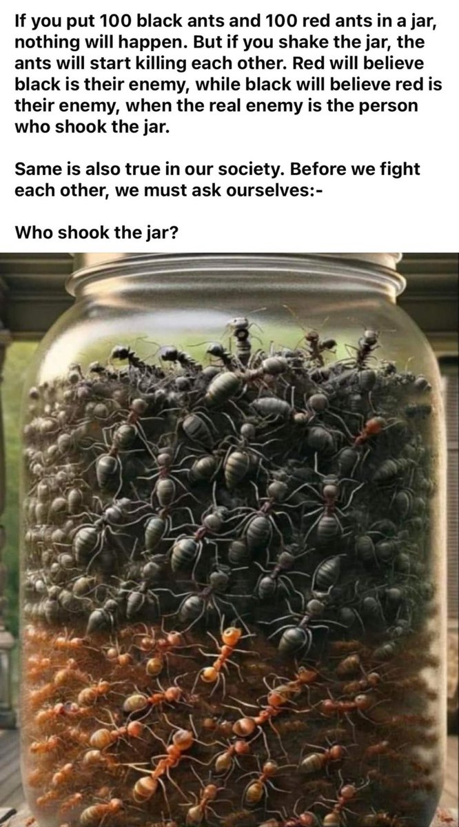 Noel (@noel76467) on Twitter photo 