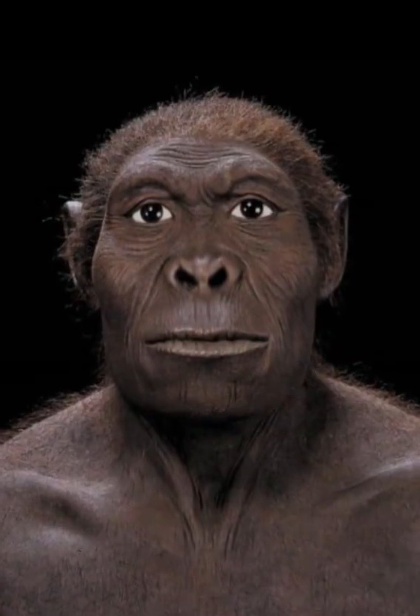 Léandre tweet media