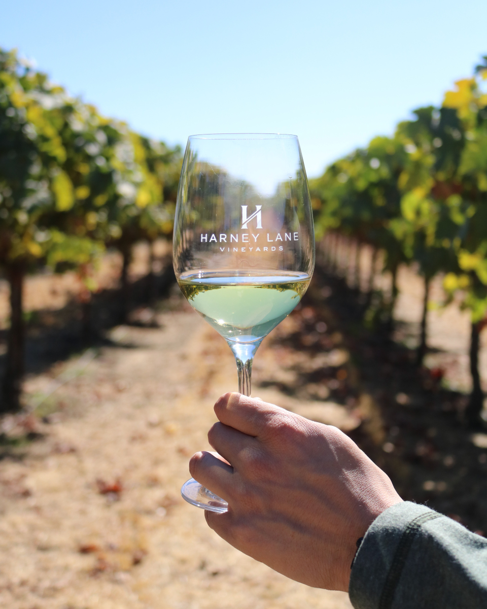 Visit Lodi! tweet media