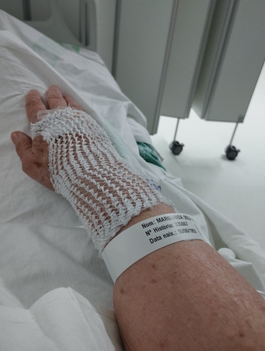 Margarida Solà ❤️🦋🍀🐾 tweet media