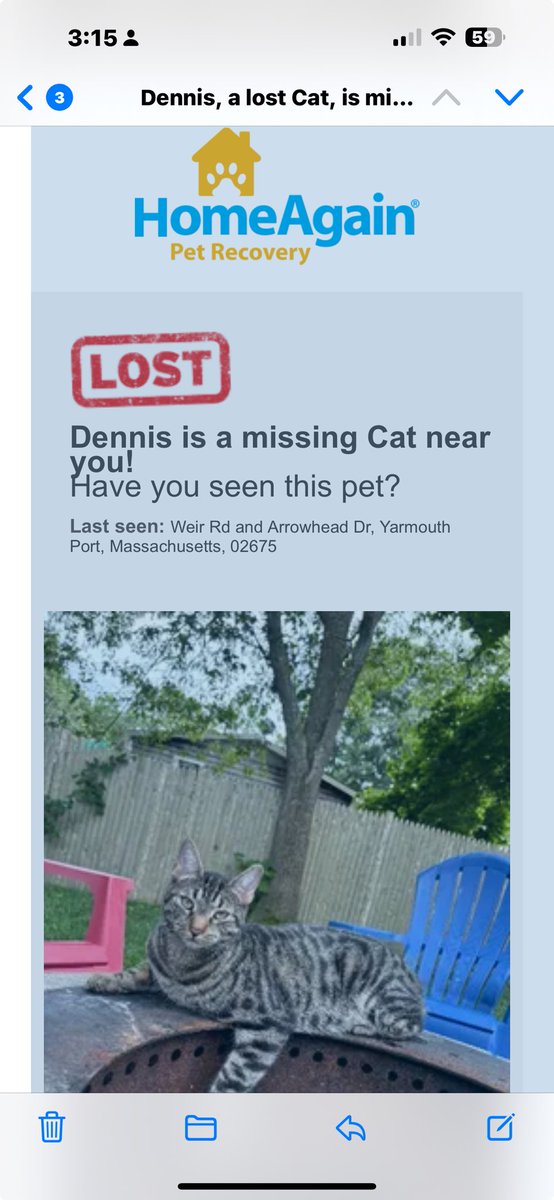 lori7244's tweet photo. LOST CAT IN DENNIS MA https://t.co/ibhzzTlKNw
