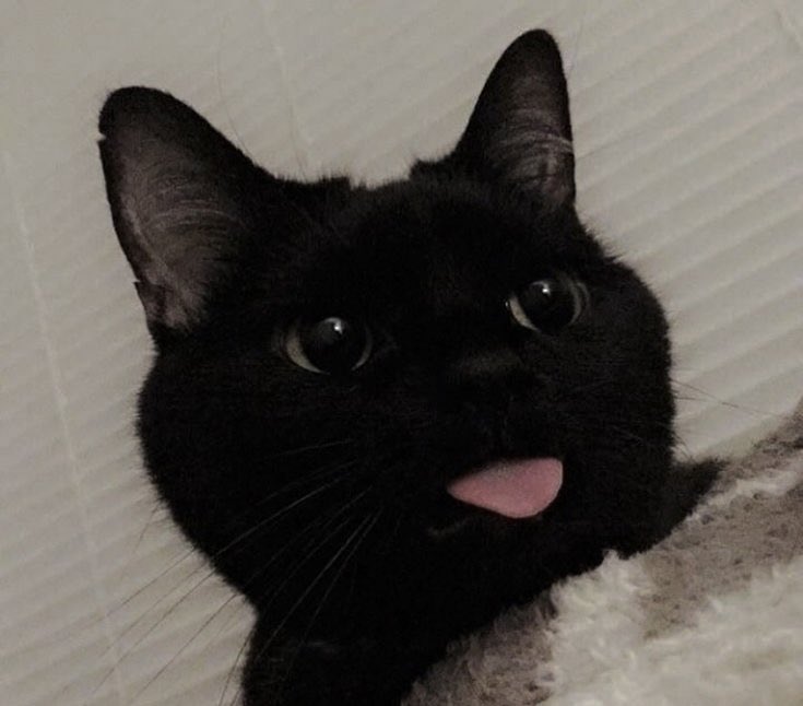 uhicr's tweet image. 