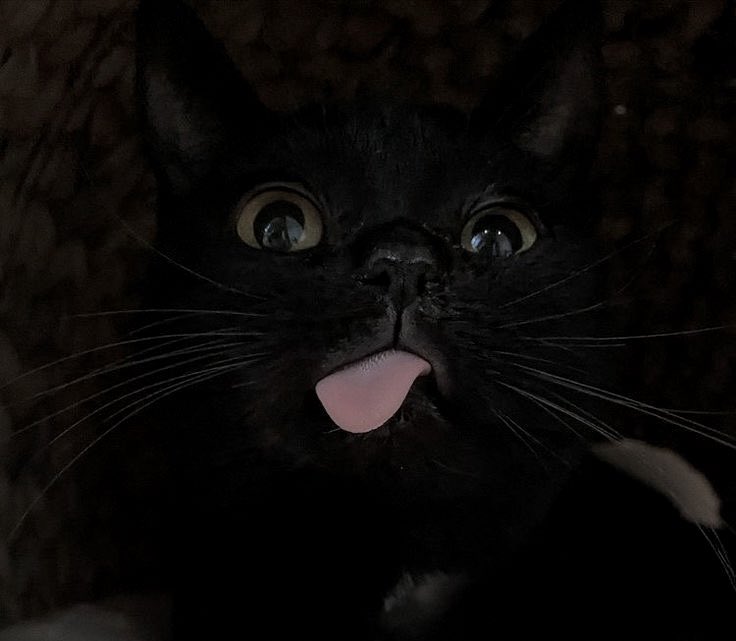 uhicr's tweet image. 