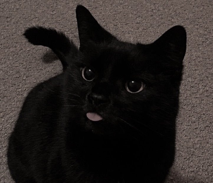 uhicr's tweet image. 