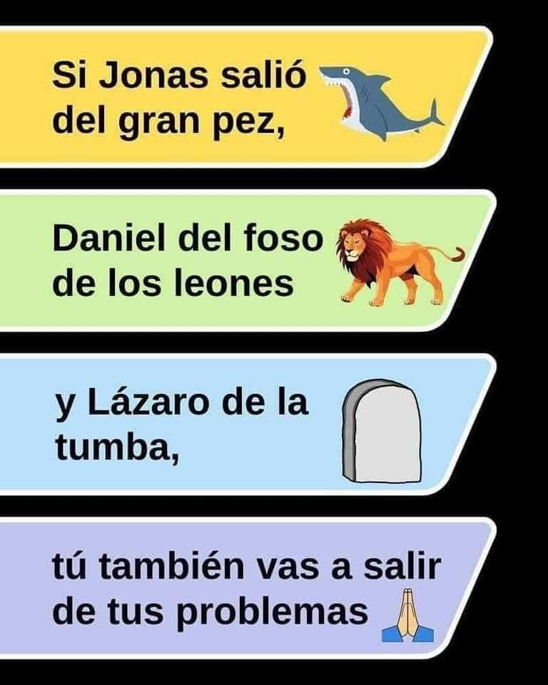 Pildorasdefe's tweet image. 