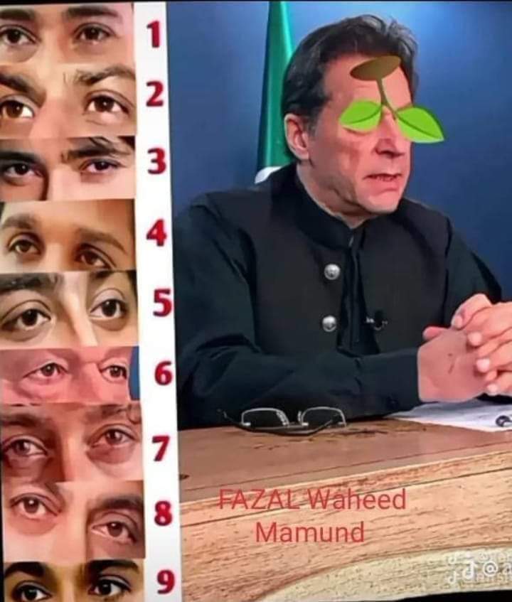 Fatima PTI tweet media