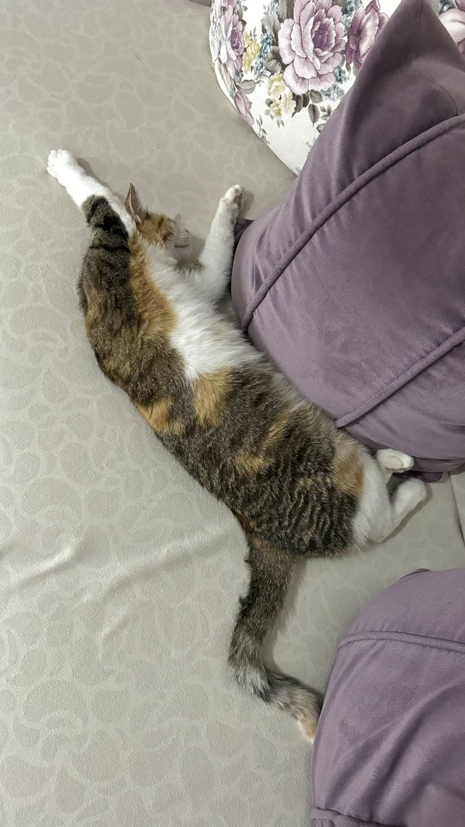 Yattım allh kaldr bni
Nurlr içine daldr beni
İi geclr ✨🌙🌝🌟