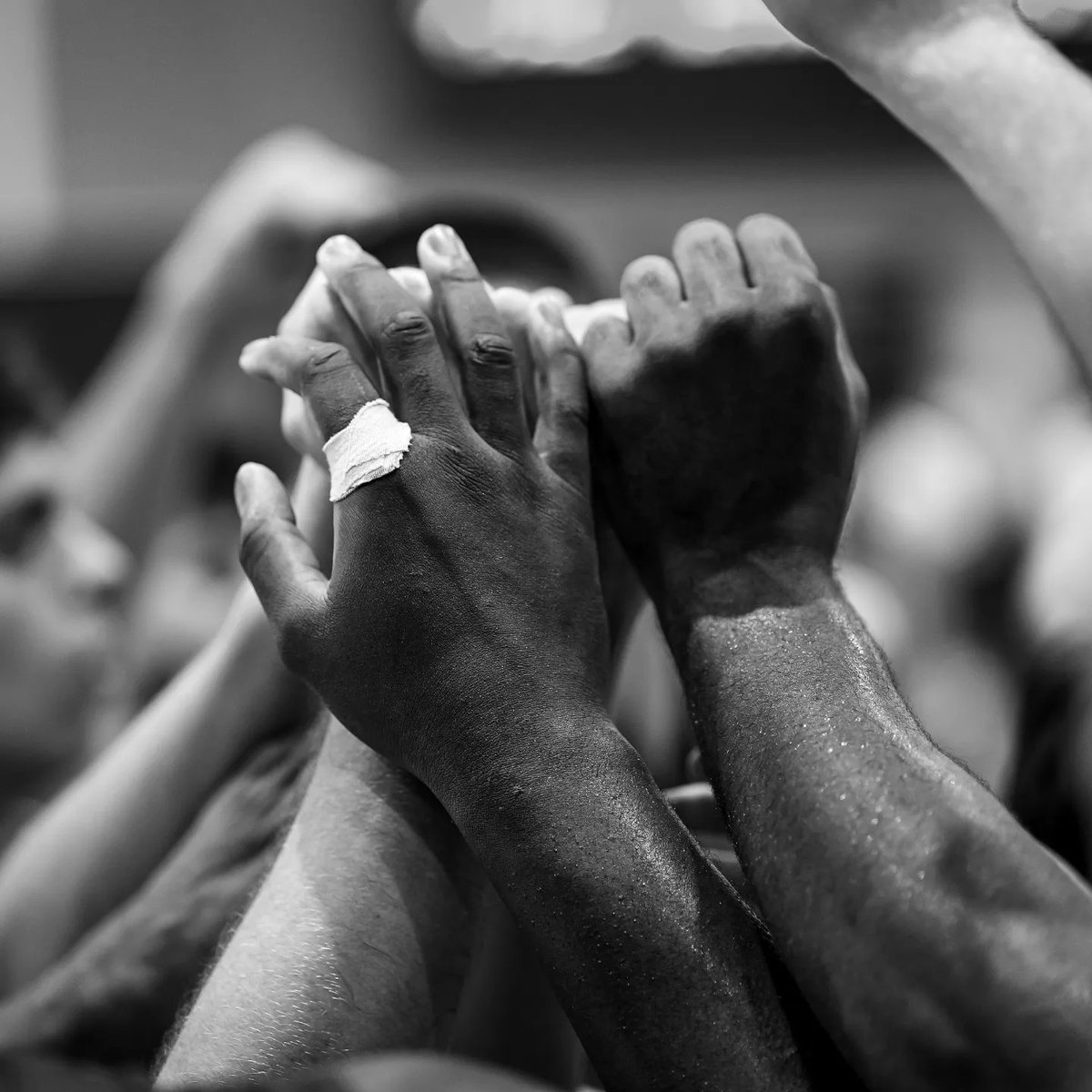 Pablo Bernabé tweet media