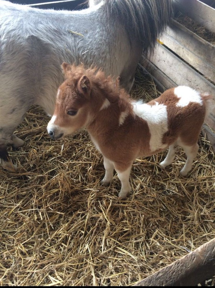 herhangi bir seyi tek basıma yaparken benim mazlumluk