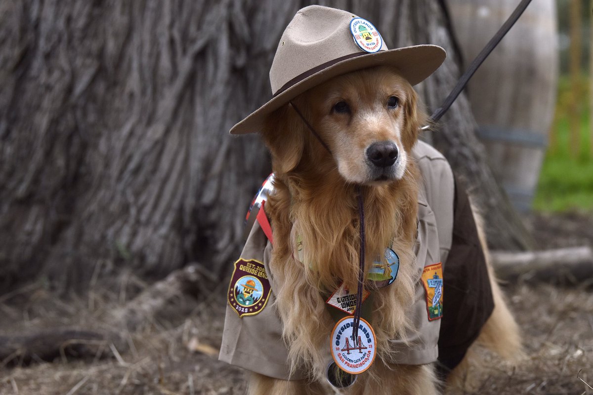 Charlie Russo tweet media