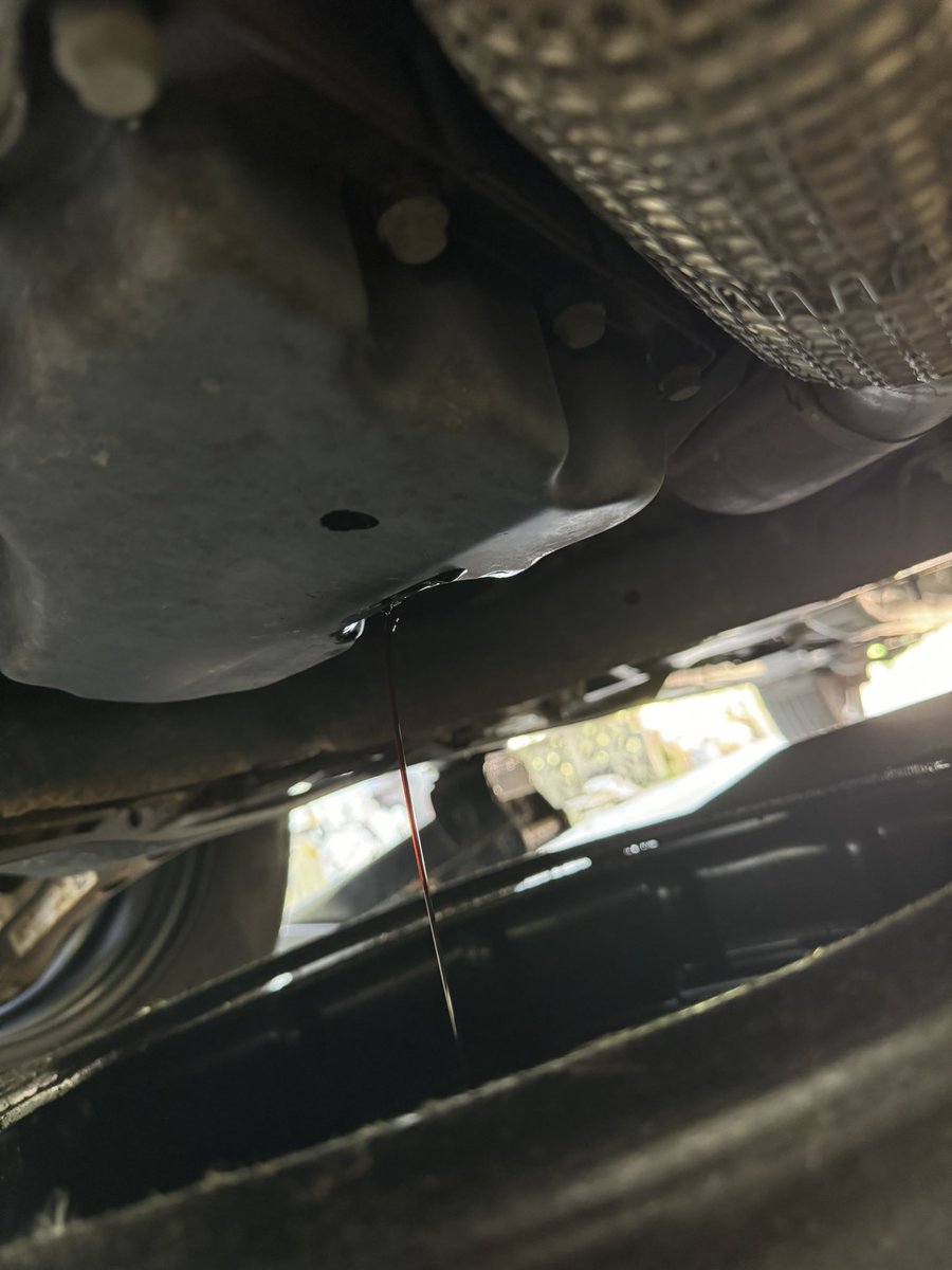 Yes! I work on my own car and I can change my oil all by myself! Now i want to paint the front of my car! Why do I do this to myself!