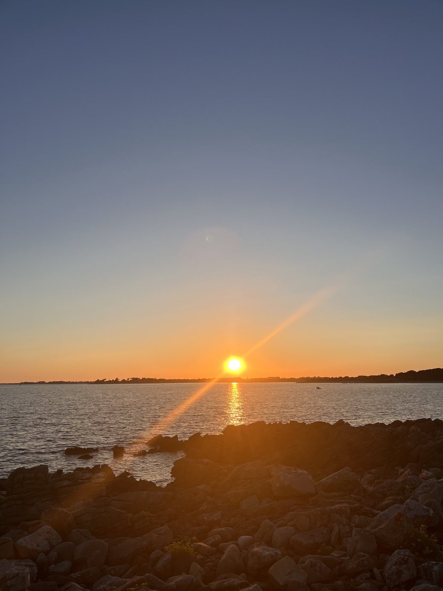 Marion Van Renterghem tweet media