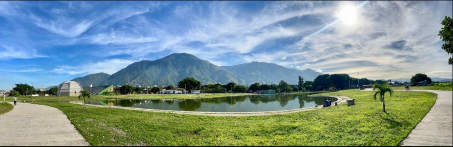 Aprendí con la primavera a ser cortada y aparecer siempre nueva 

✍️Cecilia Meireles
📸 <a href="/gabyarocha/">Gaby Arocha</a>