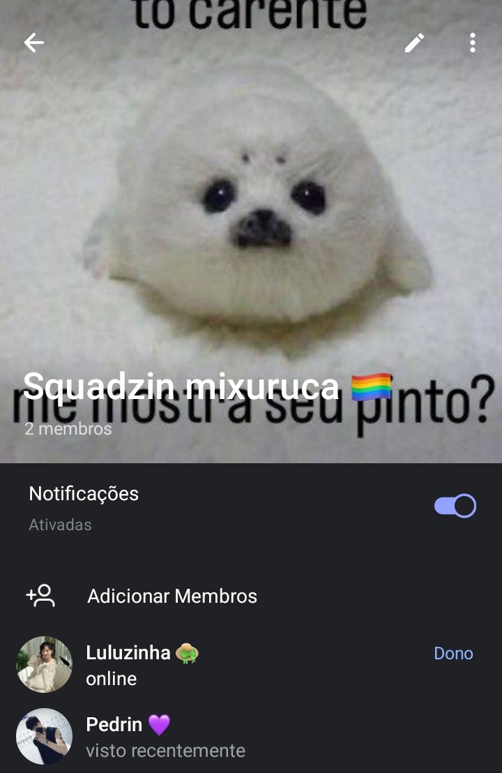 Criei um squadzin com meu amigo, querem entrar e fazer novas amizades??