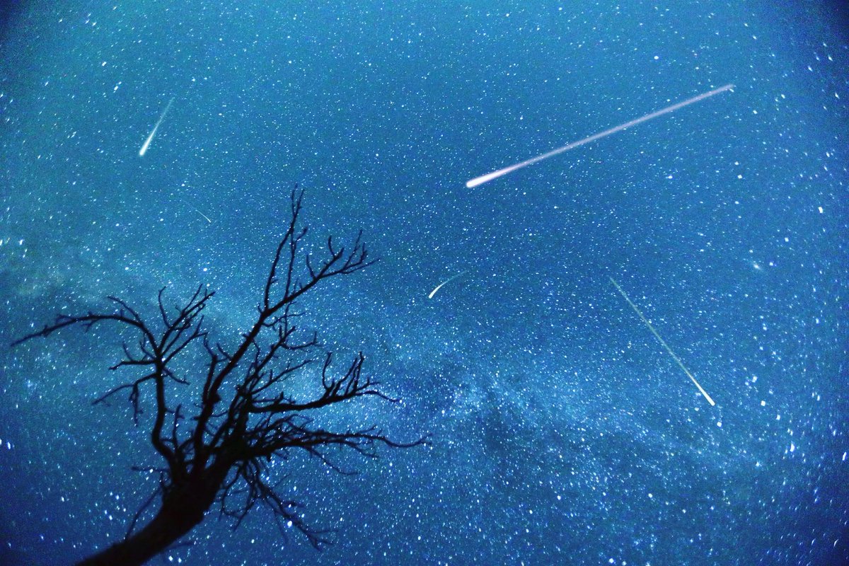 skylostdream's tweet photo. Kuzeyden gelen meteor görürseniz Perseid meteoru; güneyden gelen görürseniz Delta Kova meteoru.

✨12 Temmuz -19 Ağustos arasında Delta-Kova Meteor Yağmuru
En yoğun gece 29 Temmuz

✨17 Temmuz - 24 Ağustos arasında Perseid Meteor Yağmuru
En yoğun geceler 11/12/13 Ağustos https://t.co/ISqxT6P5Ua