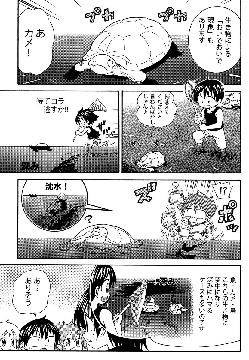 【知ると怖い「しりこだま」の話】(2/3)
まず「おいでおいで現象」に魅入られてからのカッパ襲来で全滅が子供が溺れる典型パターンです
気をつけましょう
#生還図鑑