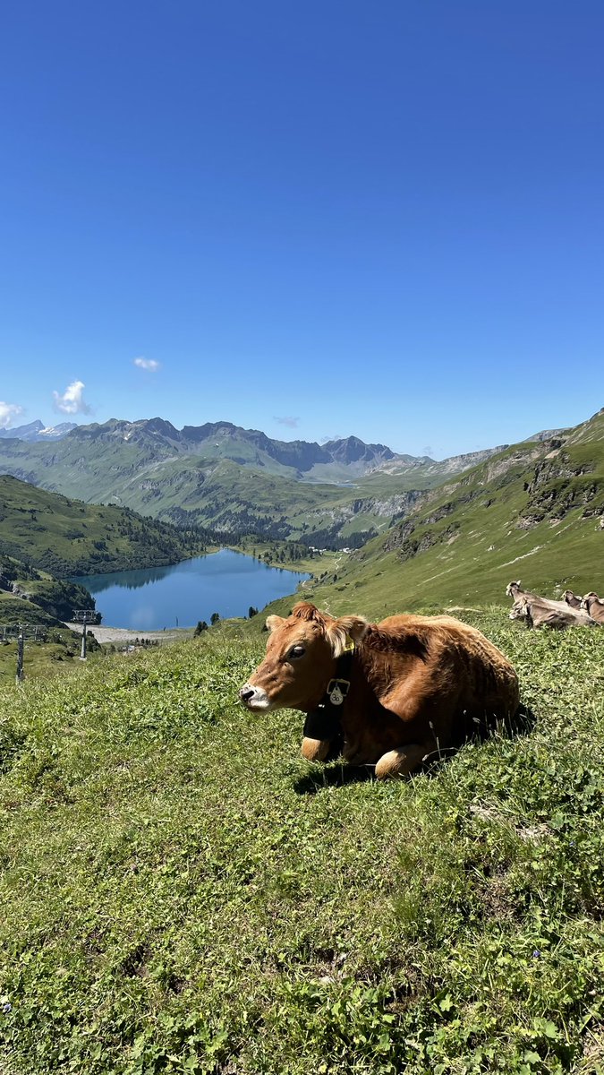 Malte Polzin  tweet media