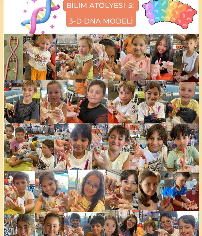 fusion_uludag's tweet photo. Toplumu #ALS konusunda bilinçlendirmenin yanında geleceğin toplumunu oluşturacak çocuklara da hem #bilim sevgisini hem de #ALS bilincini aşılıyoruz. 👧🧒

Geçtiğimiz haftalar boyunca birbirinden eğlenceli etkinliklerle DNA elde etme, elde edilen kromozomu mikroskopla inceleme ve hücrenin sihirli dünyasına dair birçok şeyi beraber öğrendik!

In addition to raising awareness of the society about #ALS, we also instill both the love of #science and #ALS awareness in children who will form the society of the future. 👧🧒

Over the past weeks, we have been learning about extracting DNA, examining the chromosome under a microscope and many other things about the magical world of the cell through fun activities!