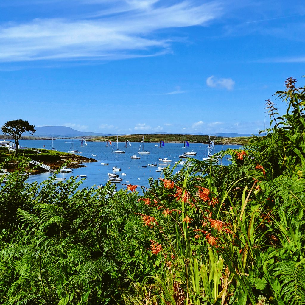 Eilish Sutton tweet media