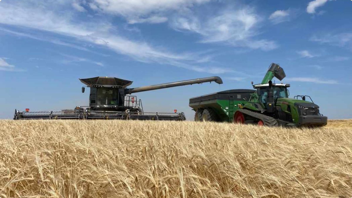 AdrianHofer9's tweet photo. Getting some barley done #IDEAL8fendt #fendt1167 #macdonFD240 @palliser_sales @MacDon @RedheadEquip @Fendt_NA https://t.co/eYOOR2C7oK