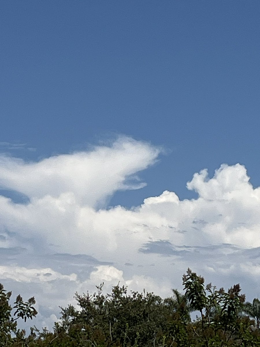 ericdwilke's tweet photo. #Peniscloud https://t.co/oLWBmMgwZW