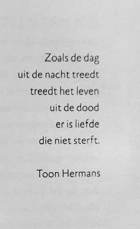 DichtDichterGedicht🖤 (@dichtg) on Twitter photo 