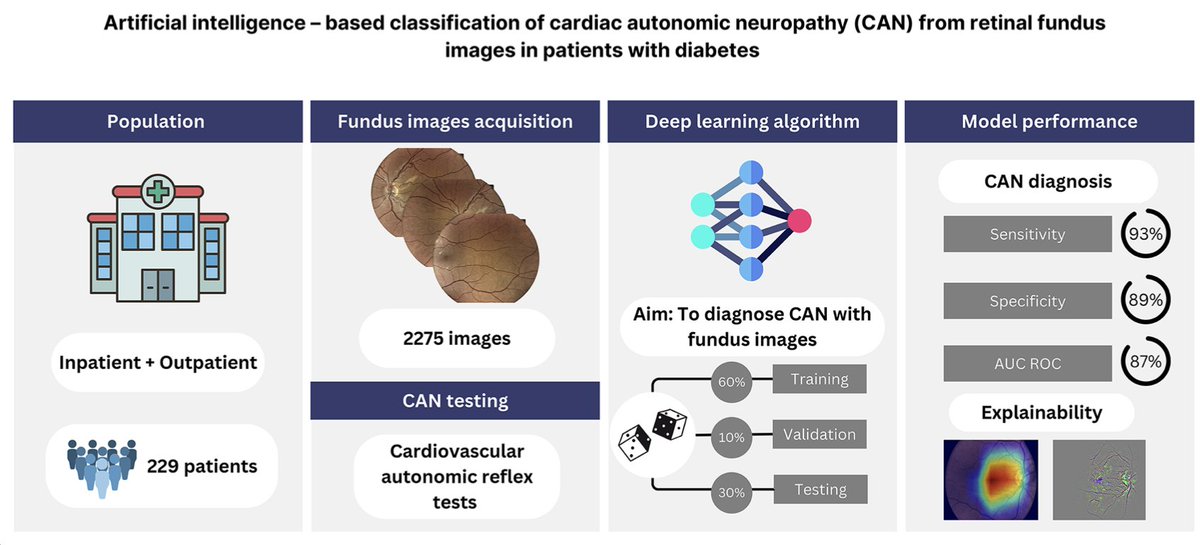 Liverpool Centre for Cardiovascular Science tweet media