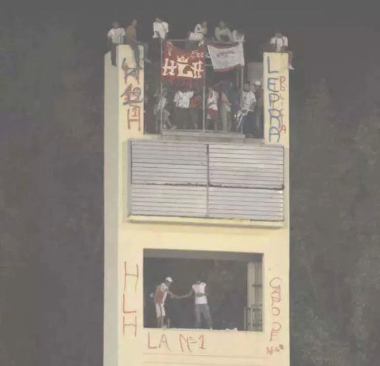 cuidacoches profesional 🎈🦍 tweet media