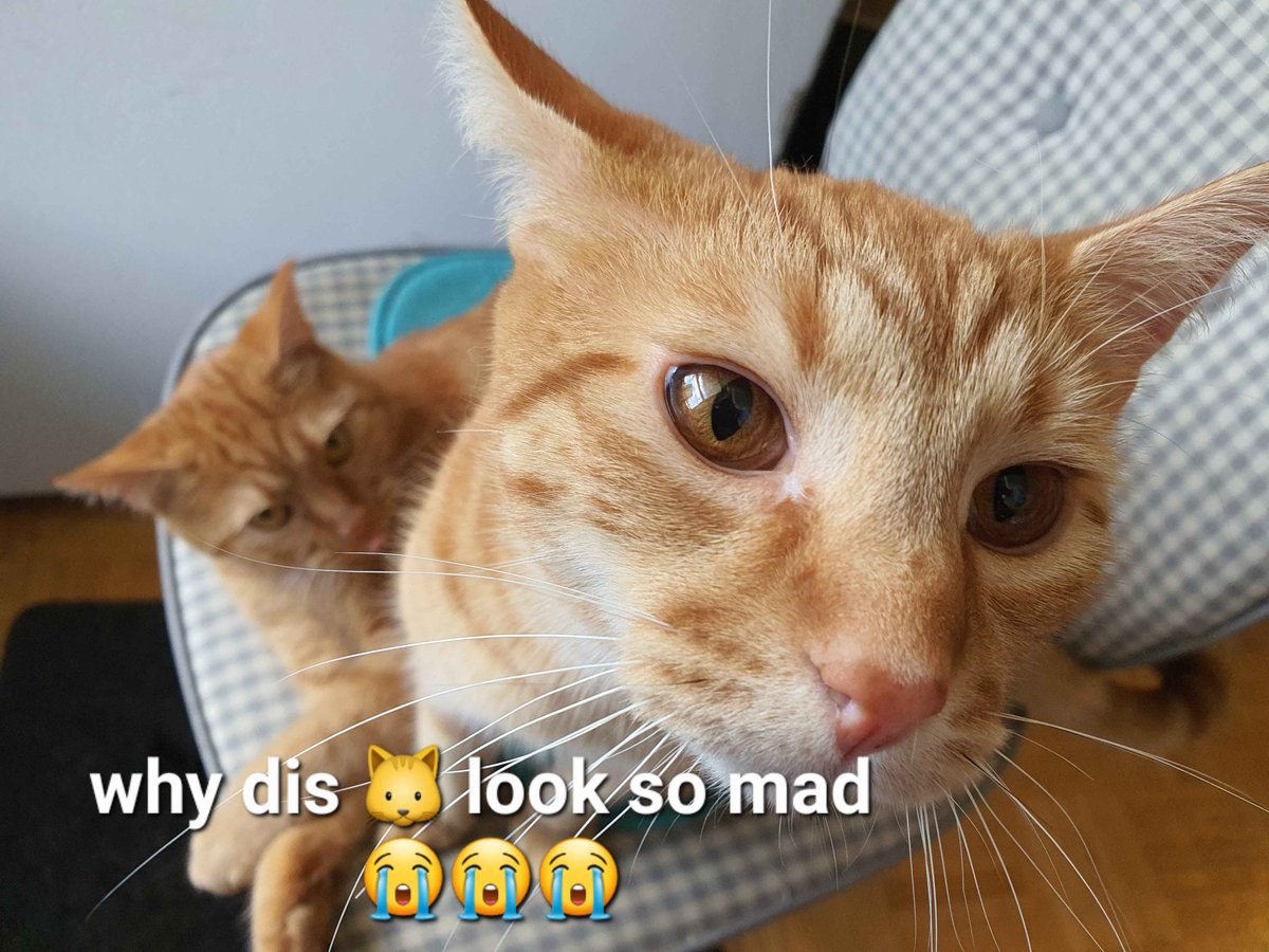 why is she like this....