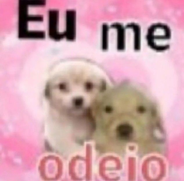 Frases aleatórias em baixa qualidade (@fraseslowqualit) on Twitter photo 