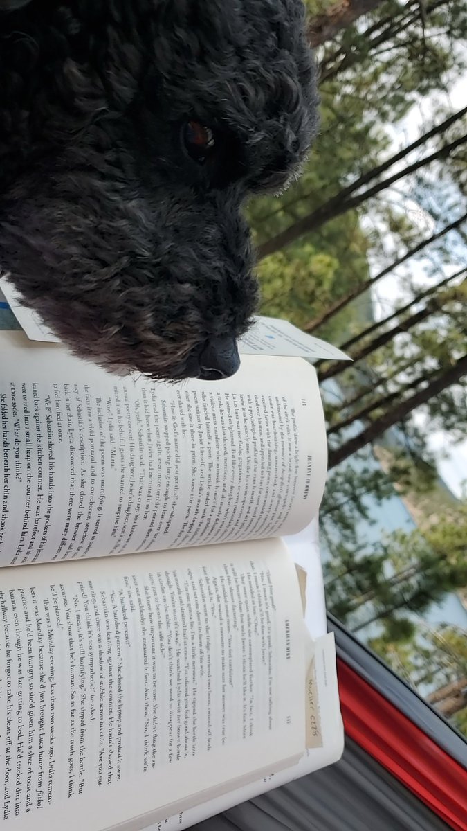 605MrsMueller's tweet photo. Celebrating Book Lovers Day! https://t.co/Q1VXFd2Y0j