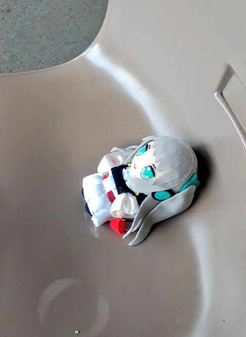 今日は一緒に出かけるよ〜 