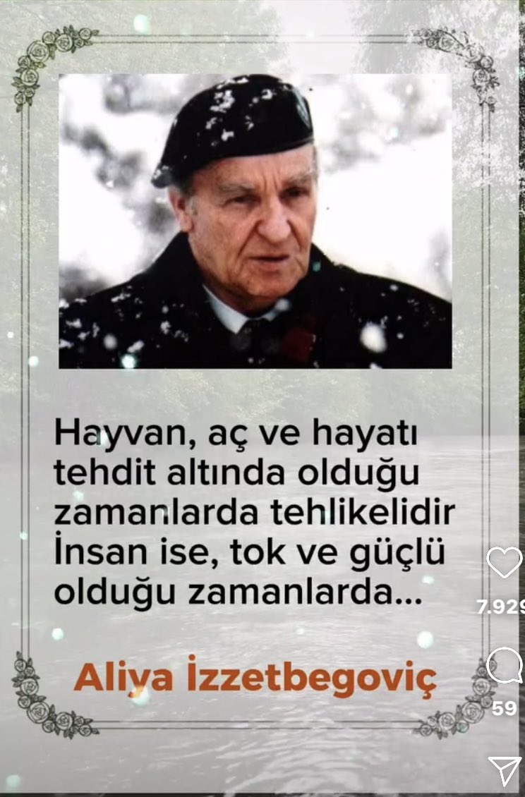 Mehmet HAS tweet media