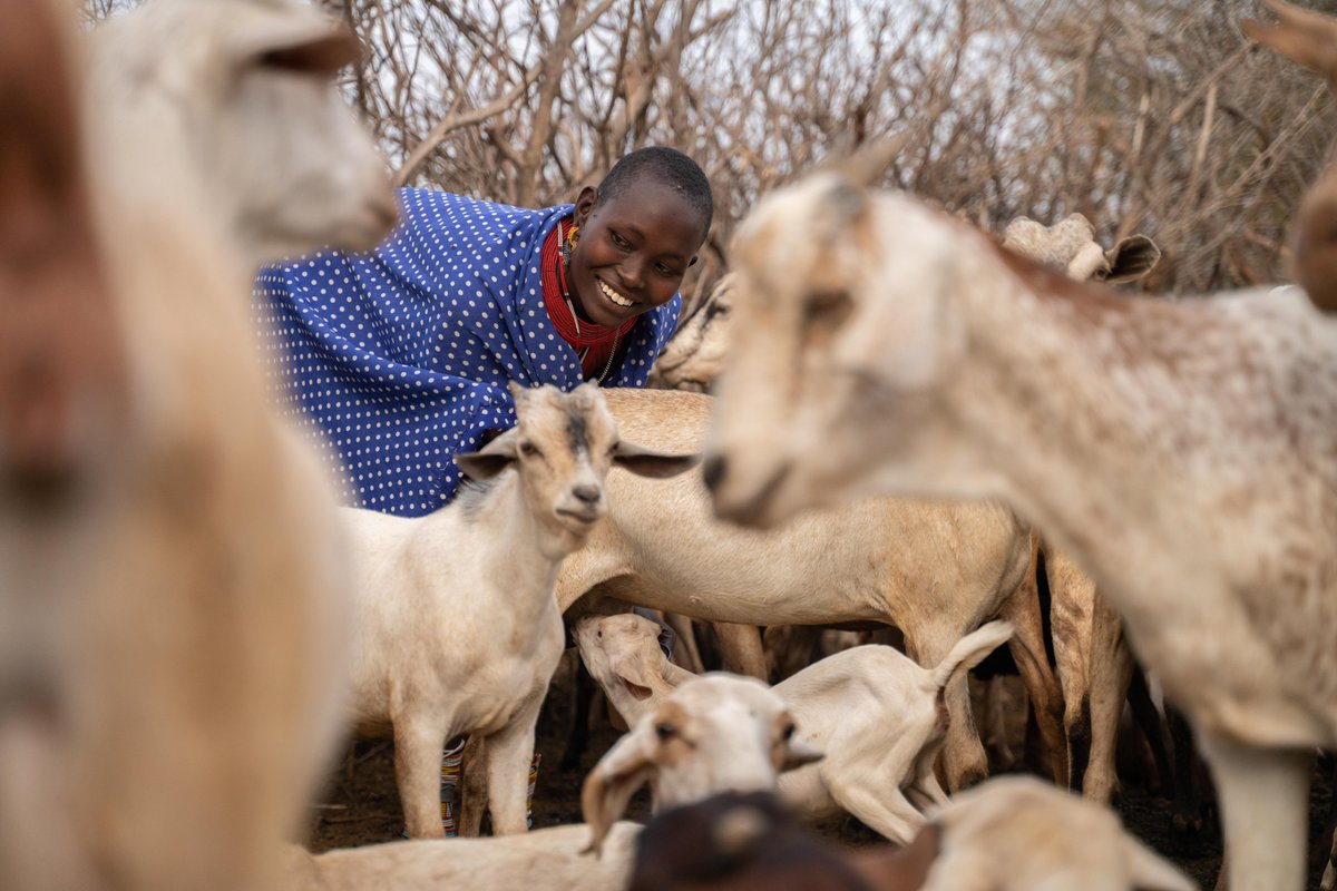 RetetiSanctuary's tweet photo. Did you know every milk bottle also contributes to regreening & restoring the landscape by building bunds, reseeding the land, and even fertilizing the soil through our Milk Program? 🌾
It truly is the gift that keeps on giving!
-
#reteti #WorldElephantDay
Photo: Simon Pocock https://t.co/ooEztx2tiJ