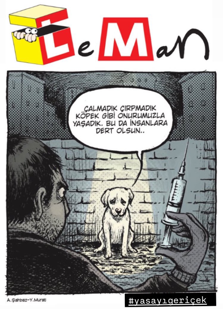 Şimdi de Bitlis’te 150 köpeğin zehirlenerek öldürüldüğü haberleri geliyor. Ne istiyorsunuz lan bu canlardan? 
#BitlisteKatliamVar