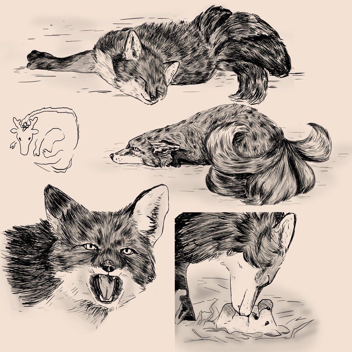 fflam_'s tweet image. foxxian drawings ft. a goofy dragonji bc the space needed to be filled
#weiwuxian #mdzs #foxxian #hulijing