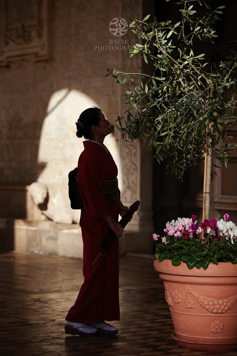 PhotographyBach's tweet photo. "Cathédrale d'Italie"
Cathédrale de Spolète, Italie.
イタリア スポレト大聖堂

#京都写真家 #italia #kimono #着物 #italy https://t.co/jCYWjLGvhb