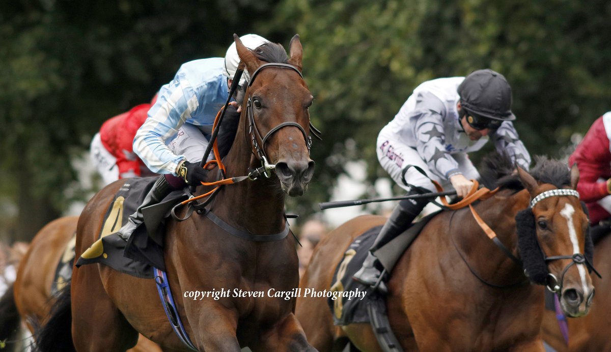 Steven_Cargill's tweet photo. 2nd win for 3yo g FIFTY NIFTY @oismurphy in 7f handicap @NewmarketRace today for @coolmorestud Ten Sovereigns @tomcloverracing https://t.co/tb3YHbZZnJ